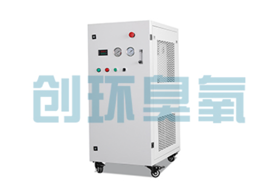 宝鸡石斑鱼养殖水质调控完整指南：臭氧发生器配置与操作步骤